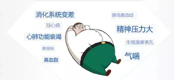 脂肪酶升高竟是肥胖的幕后推手？