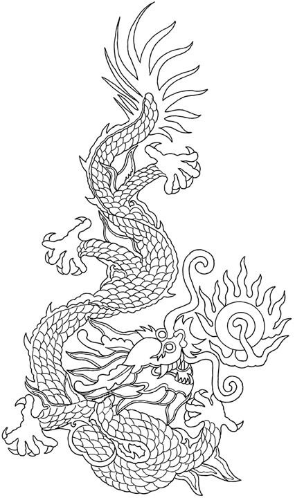 龙的图案图片大全(高清龙纹手绘线稿资料) - 赤虎壹号
