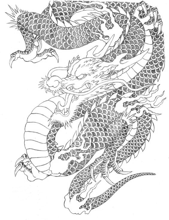 高清龙纹手绘线稿资料,拿去画