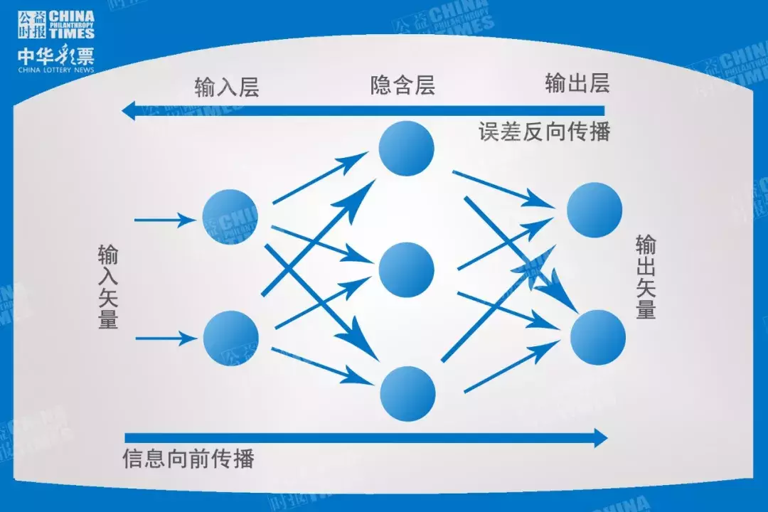 bp神经网络世界杯(什么是人工智能网络？它能预测？)