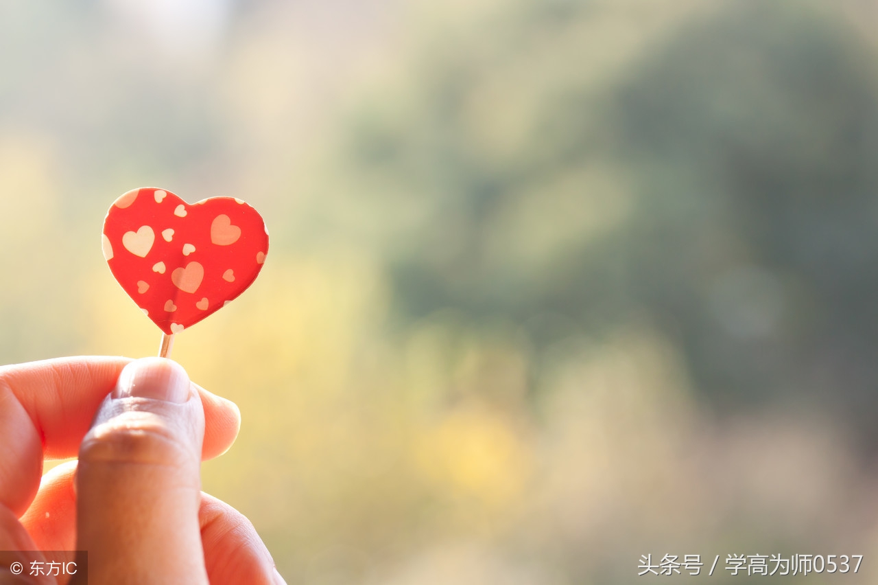 小学1-6年级语文阅读能力快速提升训练 暑假训练拓展提高