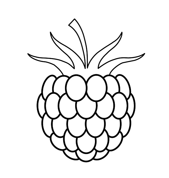 50种水果简笔画(50张水果蔬菜高清简笔画手稿,不看你就亏大了)