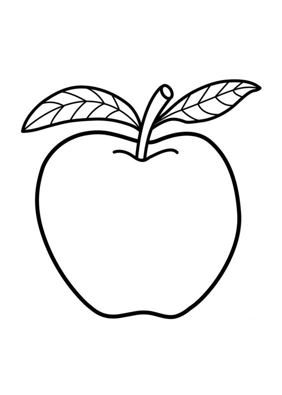 50种水果简笔画(50张水果蔬菜高清简笔画手稿,不看你就亏大了)