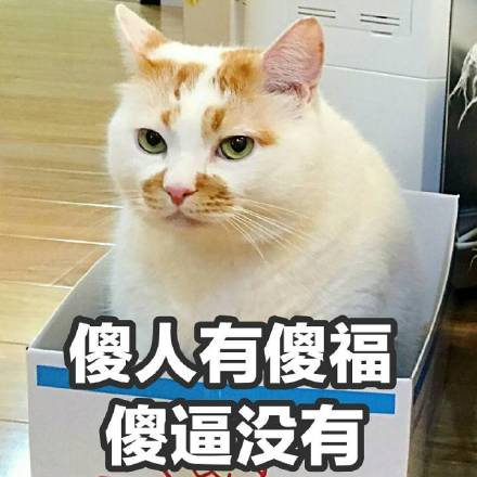 斗图表情包：讲理咱最笨，就喜欢打人