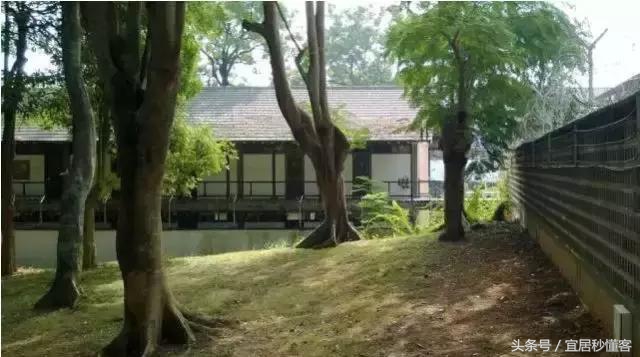 国内颜值最高的大学宿舍，从海景房到民族风还有北欧范儿都有了