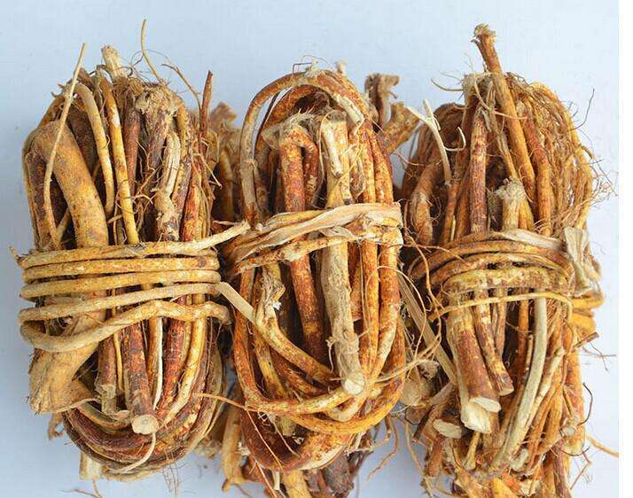 五指毛桃图片大全(农村常见的五指毛桃) - 赤虎壹号