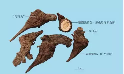 4类中成药,不能长期服用,但大部分人不知道!