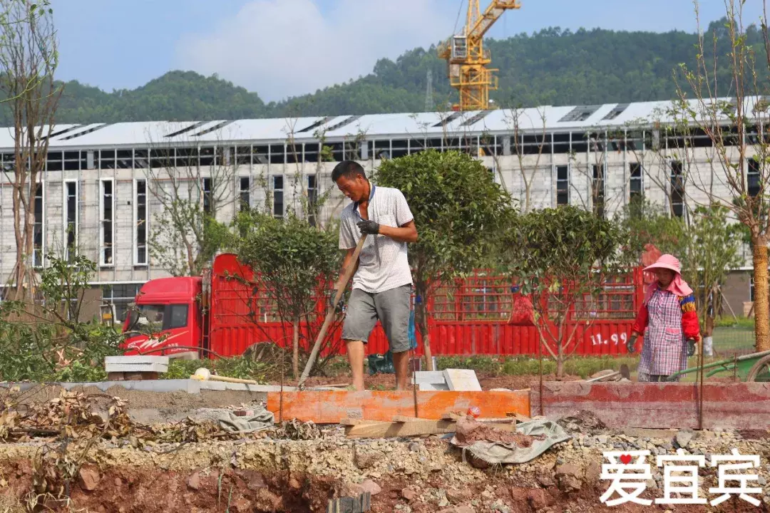 宜宾的大学（实拍）