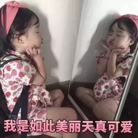 小仙女权律二表情包