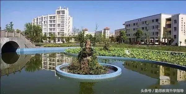 重庆区县最强牛校，你应该了解一下！