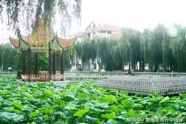 重庆区县最强牛校，你应该了解一下！