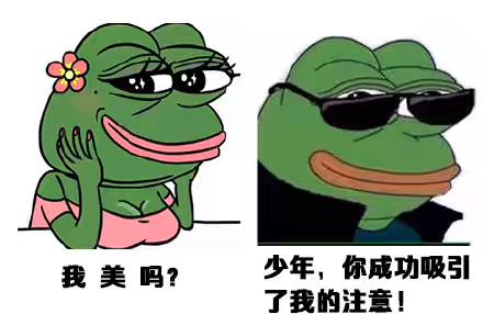 他们都是成双成对，而你呢