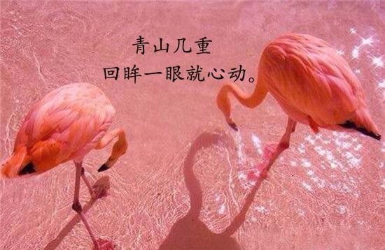 海底月是前上月，眼前人是心上人「七夕土味情话表情包」