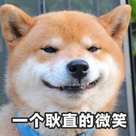 柴犬表情包