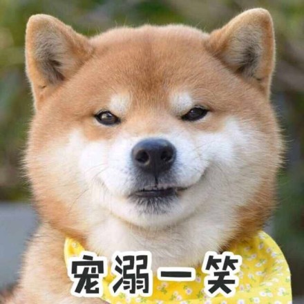 柴犬表情包