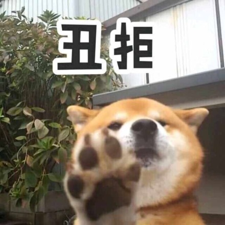 柴犬表情包