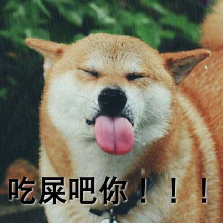 柴犬表情包