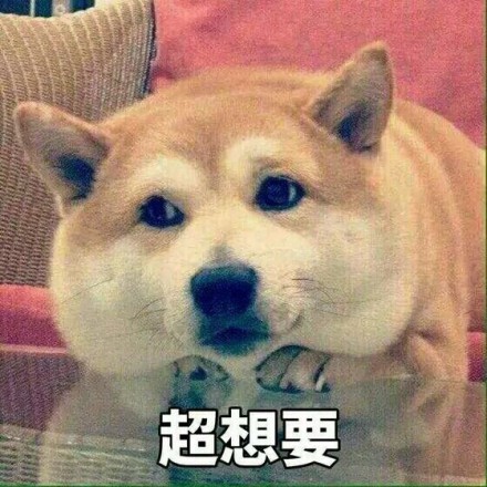 柴犬表情包