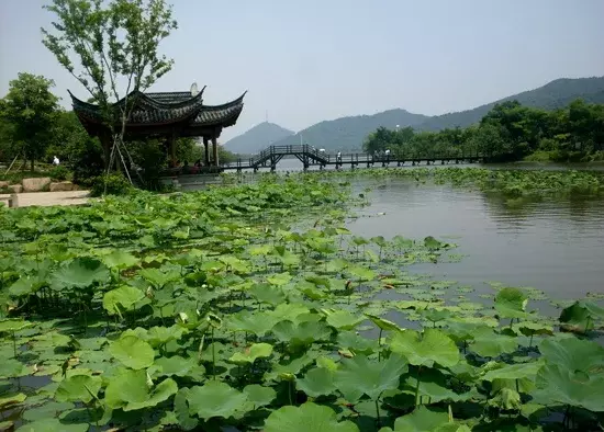 小亭挂雨声