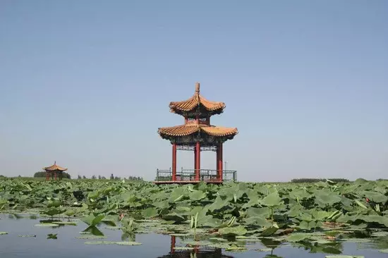 小亭挂雨声