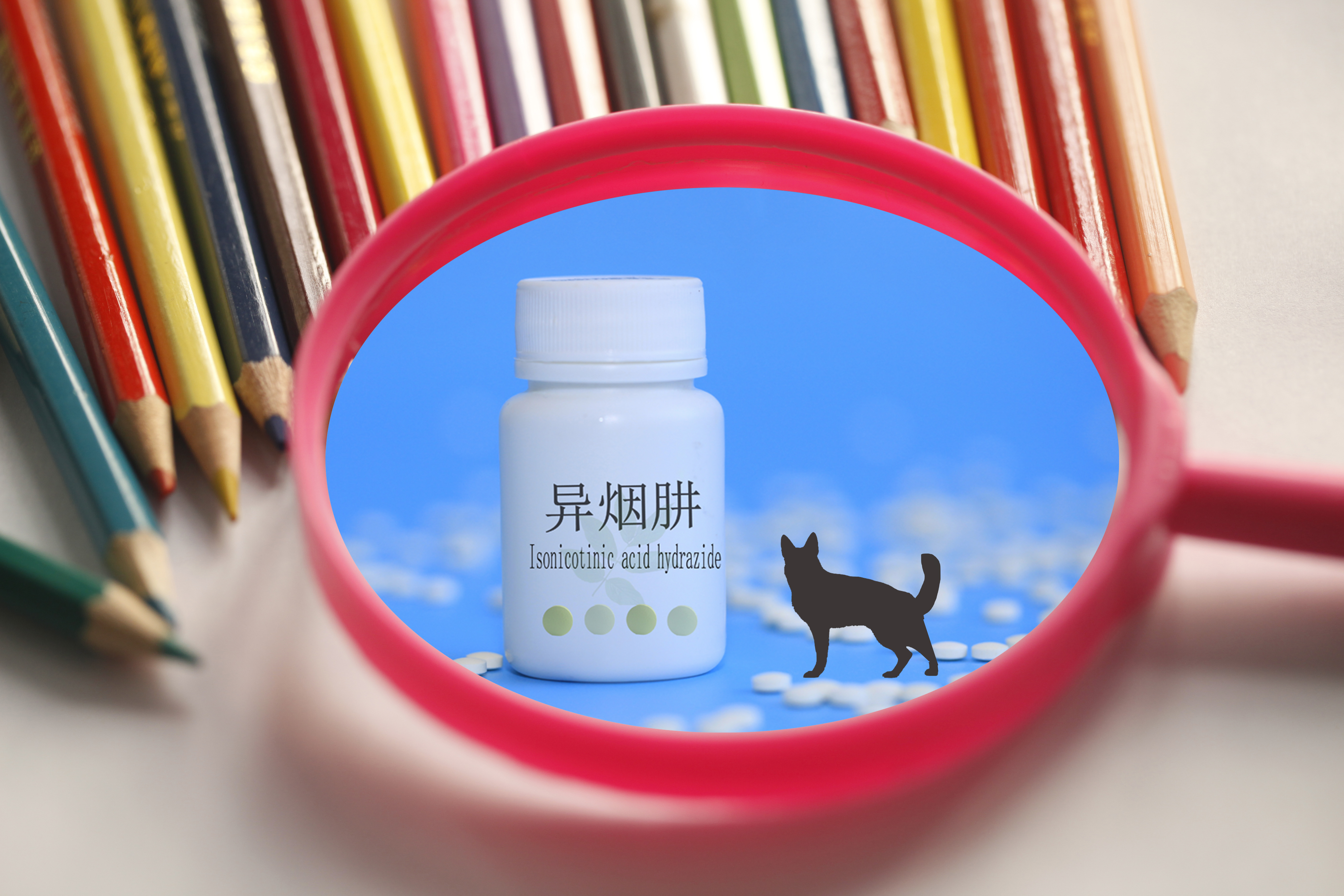 驴踢坏奥迪，狗要赔10万？人的错，别让狗背锅！