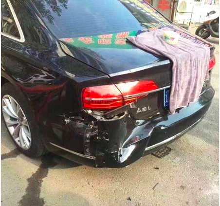 驴踢坏奥迪，狗要赔10万？人的错，别让狗背锅！