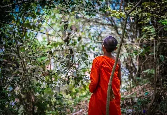 施恩不望报，反遭怨尤——禅门深意解析