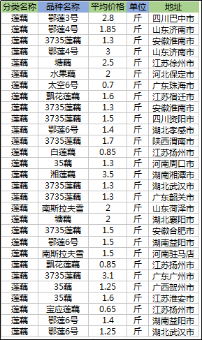 8月16日莲藕价格多少钱一斤？品种更新产量增多，市场供大于求