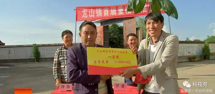 七年前深山里带回的一株草,如今居然卖到每亩100万!