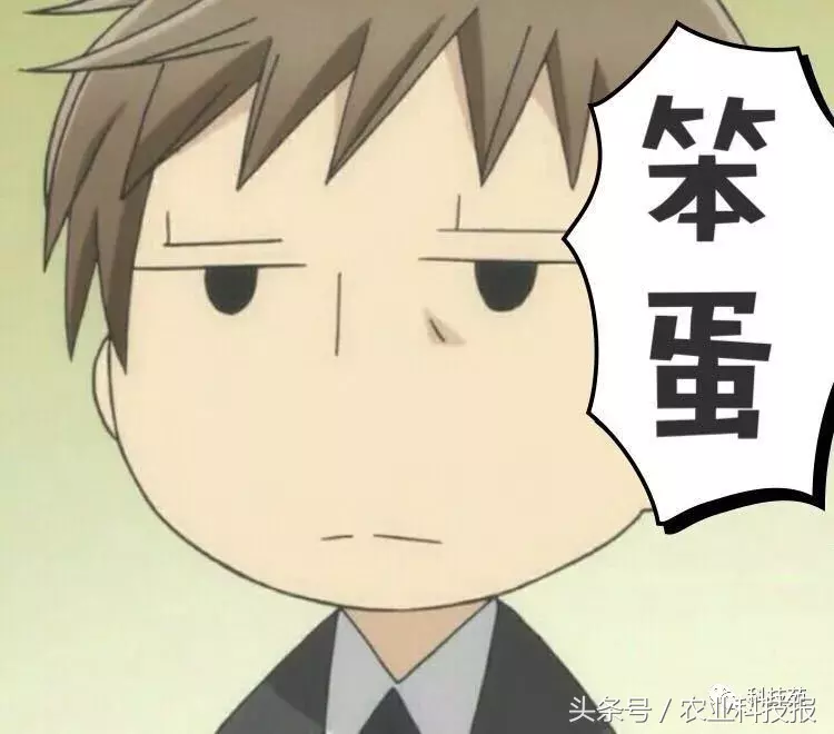 七年前深山里带回的一株草,如今居然卖到每亩100万!