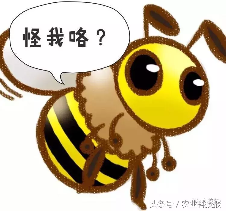 七年前深山里带回的一株草,如今居然卖到每亩100万!