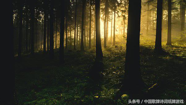 9首松树古诗，见古人坚毅不拔品格