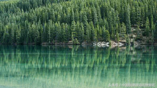 9首松树古诗，见古人坚毅不拔品格