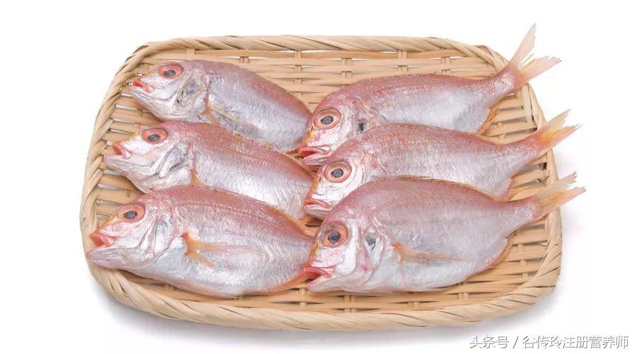 孕期补DHA，鱼、鱼油、藻油可不能选错！