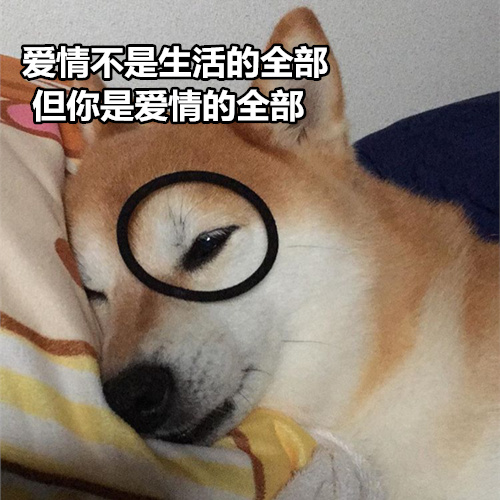 柴犬撩妹表情包：你知道我最喜欢什么制服吗？被你制服