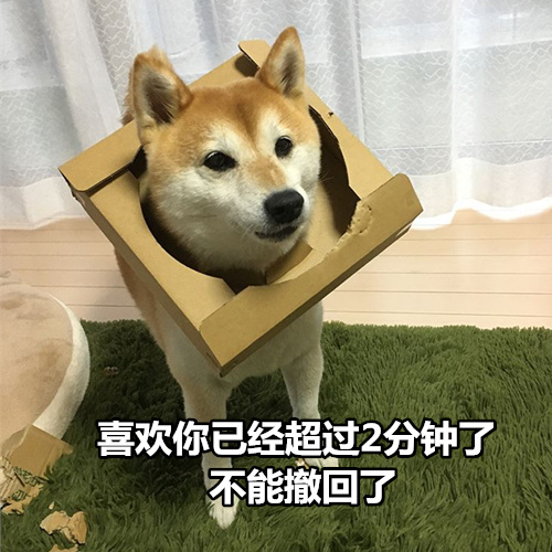 柴犬撩妹表情包：你知道我最喜欢什么制服吗？被你制服