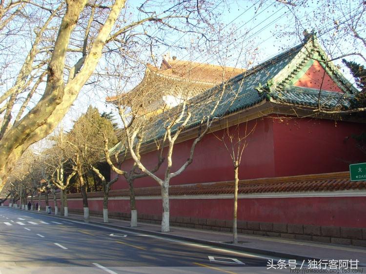 成为网红的青岛大学路，有着怎样不为世人所知的故事？