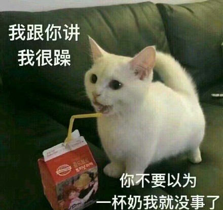 猫咪卖萌表情包：看我这么可爱的份上，你就放过我吧