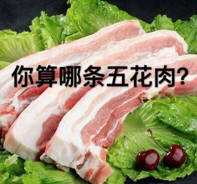 接地气的怼人表情包：你算哪根葱、你算哪条黄瓜、你算哪条五花肉