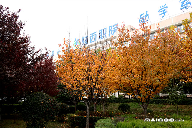 陕西十大专科学校排名 陕西十大高职院校 陕西最好的十大专科院校