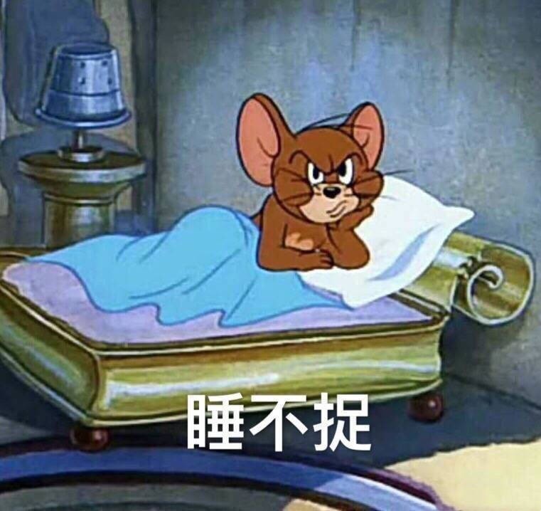 关于睡不着的段子表情包：今晚能睡八小时，还剩七小时了