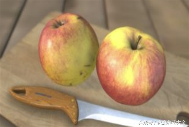 烂苹果能做花的肥料吗（烂苹果别扔做成化肥又省一笔）