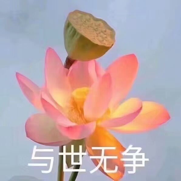 莲花佛系表情包：心平气和，与世无争，四大皆空