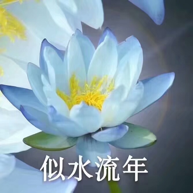 莲花佛系表情包：心平气和，与世无争，四大皆空