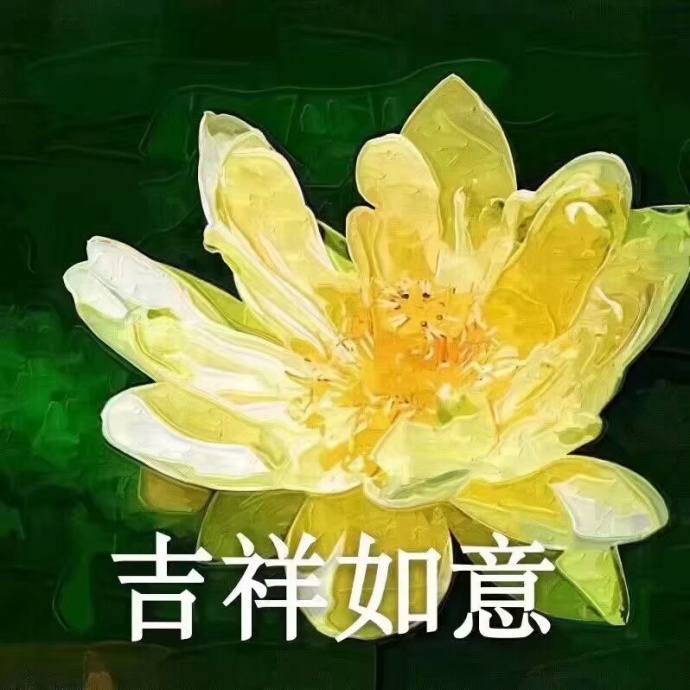 莲花佛系表情包：心平气和，与世无争，四大皆空