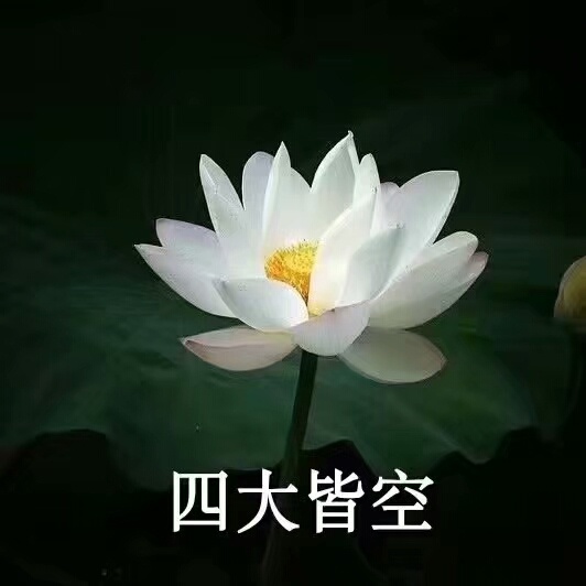 莲花佛系表情包：心平气和，与世无争，四大皆空