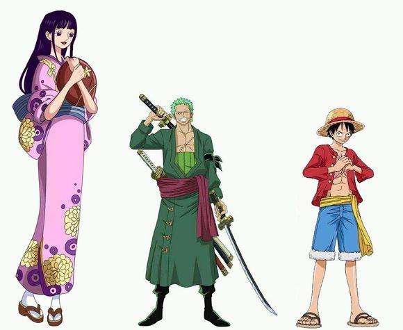 海賊王 身高三米女武士小菊 實力強大 代表武士反抗勢力 天天看點