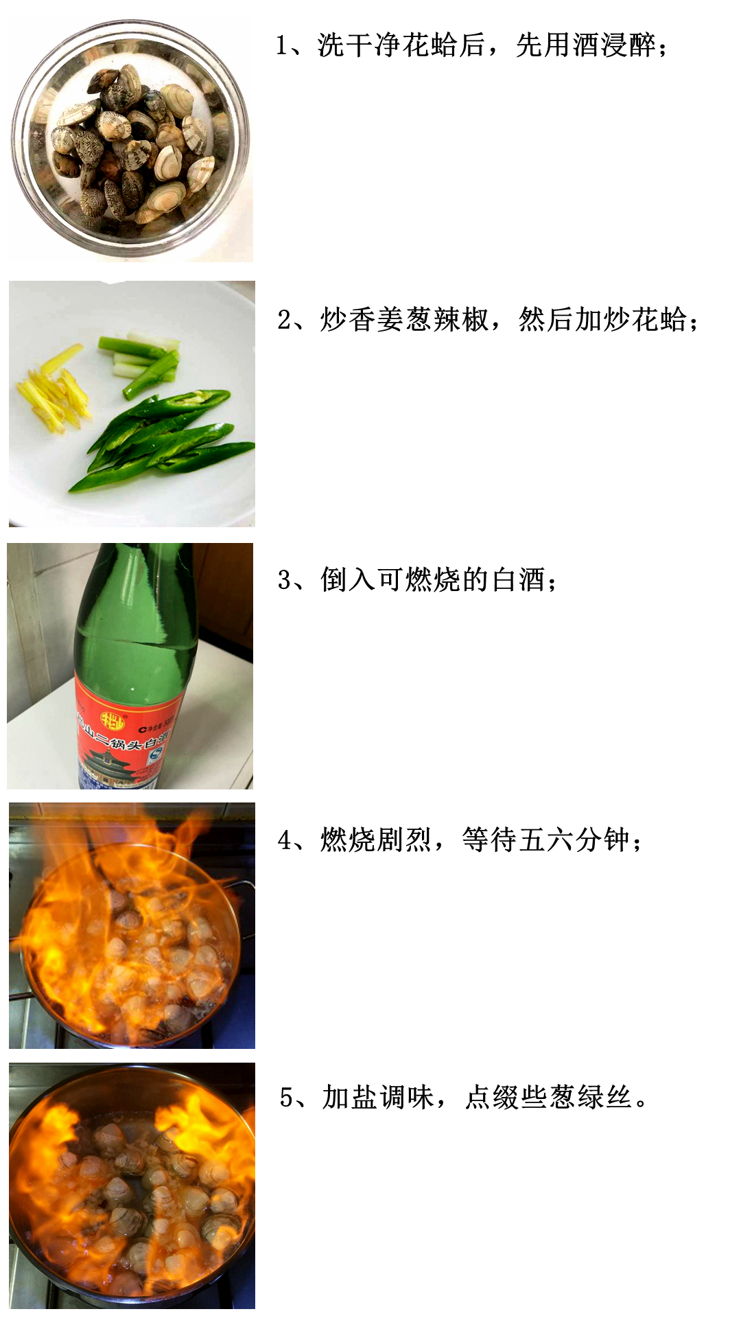 海鲜各种贝类，文蛤、牡蛎、竹蛏、毛蚶……你都了解了吗