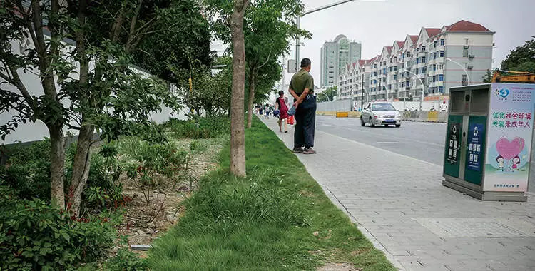 “狗屎运”想天天走，踩了真狗屎就这样做！