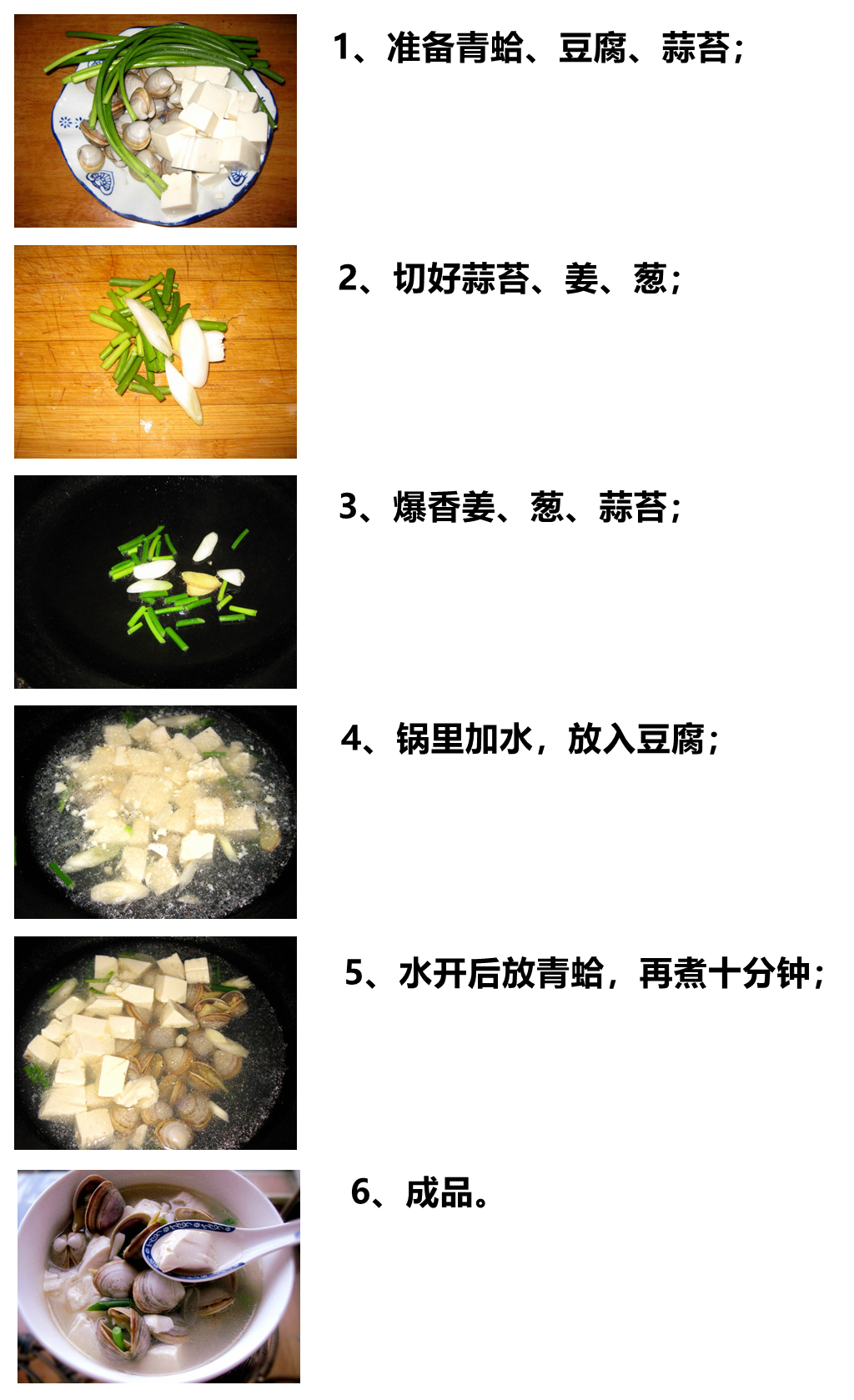 海鲜各种贝类，文蛤、牡蛎、竹蛏、毛蚶……你都了解了吗